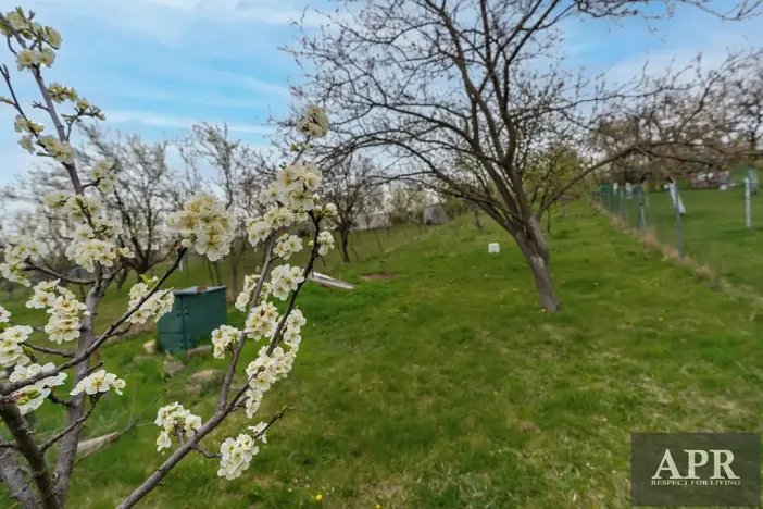 Prodej rodinného domu, Boršice u Blatnice, 105 m2