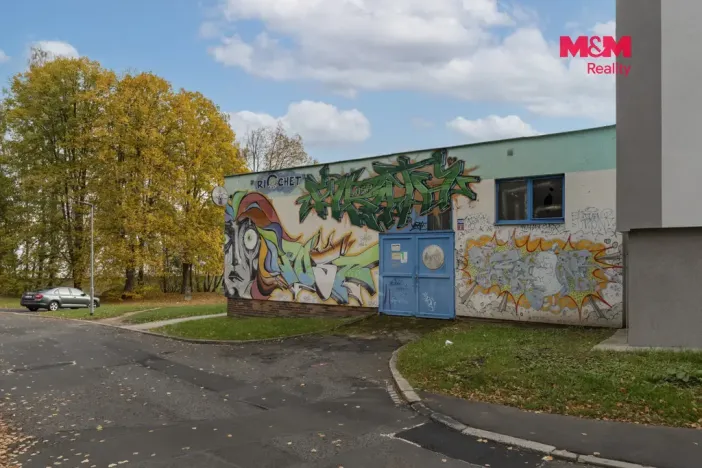 Prodej obchodního prostoru, Cheb, Lesní, 130 m2