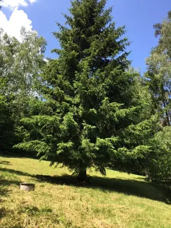 Prodej chaty, Žďárec, 65 m2