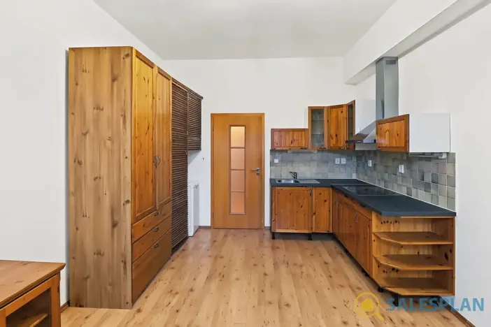 Prodej bytu 2+kk, Praha - Žižkov, Havlíčkovo náměstí, 34 m2