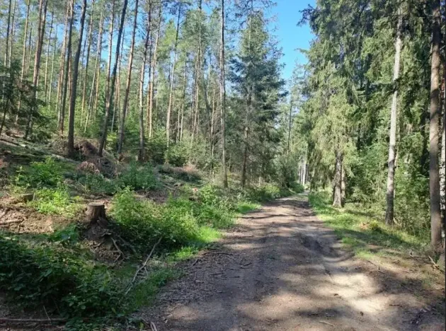 Prodej pozemku, Mirotice, 5629 m2