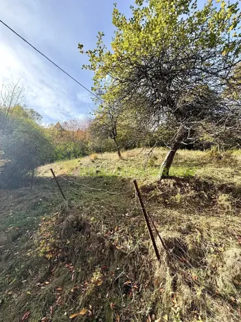 Prodej chaty, Hovězí, 281 m2