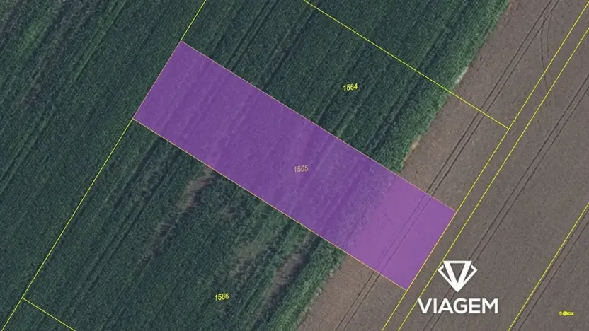 Prodej podílu pole, Lužec nad Cidlinou, 668 m2