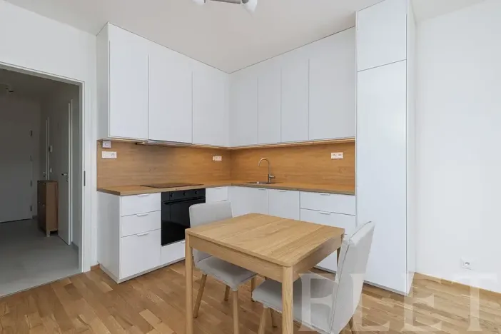 Pronájem bytu 1+kk, Praha - Karlín, Švarcova, 36 m2