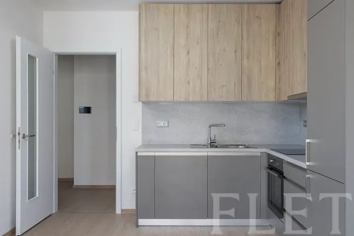Pronájem bytu 2+kk, Praha - Řeporyje, Haenkeho, 47 m2