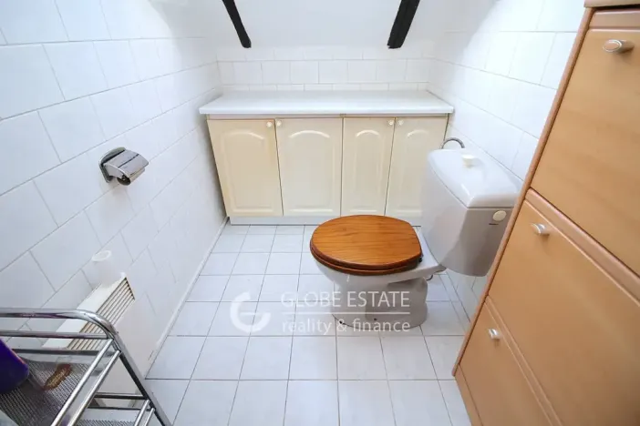 Prodej rodinného domu, Vinařice, 230 m2