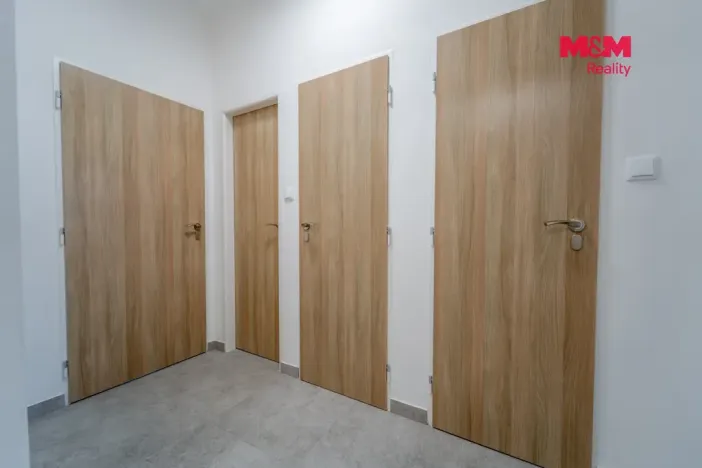Pronájem bytu 3+kk, Plzeň - Východní Předměstí, Francouzská třída, 55 m2