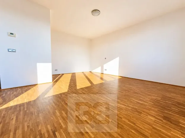 Pronájem bytu 1+kk, Praha - Nové Město, Na výtoni, 41 m2