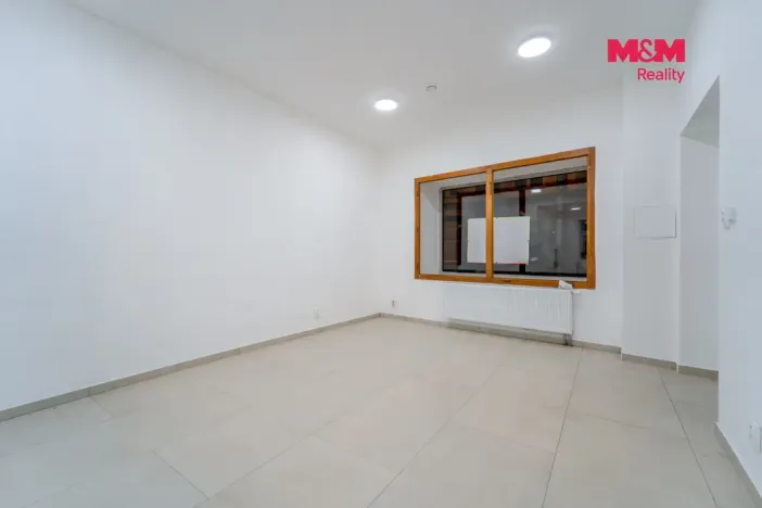 Pronájem obchodního prostoru, Plzeň - Jižní Předměstí, Tylova, 36 m2