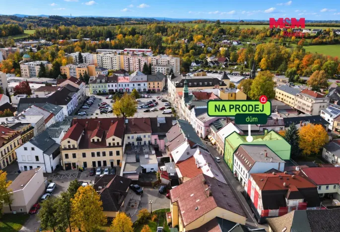 Prodej obchodního prostoru, Rychnov nad Kněžnou, Panská, 489 m2