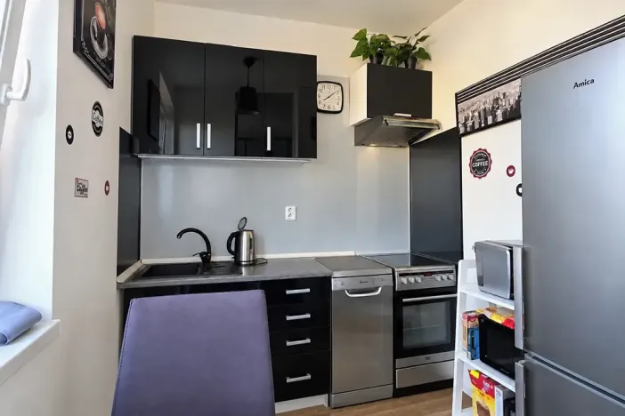 Prodej bytu 1+kk, Mladá Boleslav, 17. listopadu, 44 m2