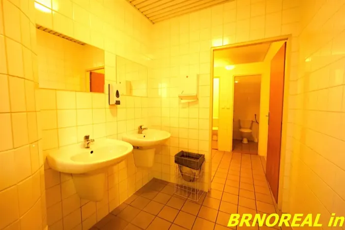 Pronájem kanceláře, Brno, Příkop, 20 m2