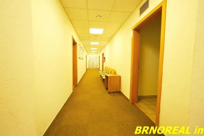 Pronájem kanceláře, Brno, Příkop, 20 m2