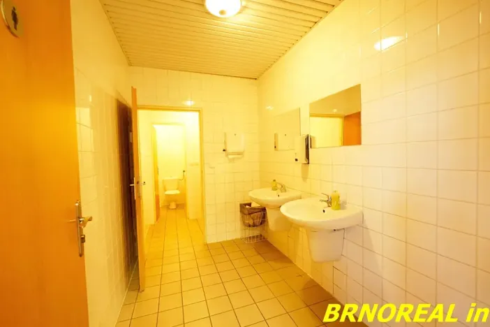 Pronájem kanceláře, Brno, Příkop, 20 m2