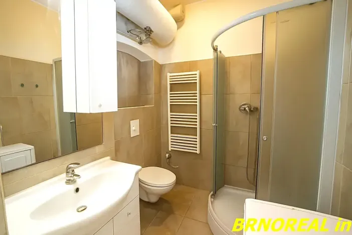 Pronájem bytu 1+kk, Brno, Vodní, 20 m2