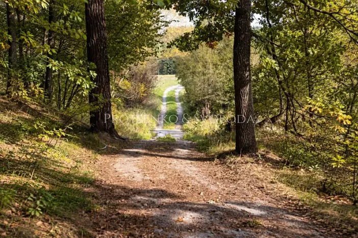 Prodej rodinného domu, Benešov nad Černou, 217 m2
