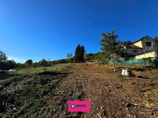 Prodej pozemku pro bydlení, Olšany, 6031 m2