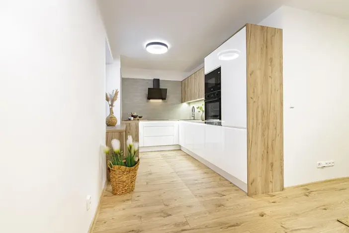 Prodej bytu 2+kk, Ostrava, Opavská, 53 m2