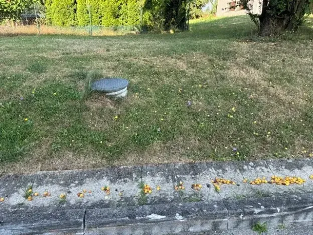 Dražba bytu 3+1, Temelín, 109 m2