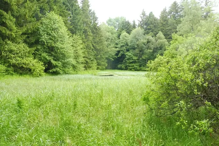 Dražba pozemku, Číměř, 7409 m2
