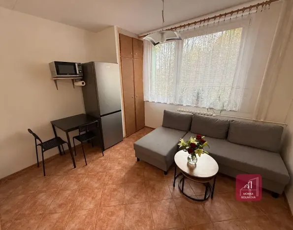 Pronájem bytu 1+1, Brno, Herčíkova, 35 m2