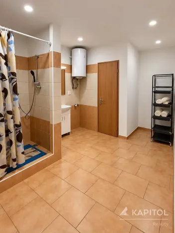 Prodej bytu 1+kk, Planá, Hřbitovní, 30 m2