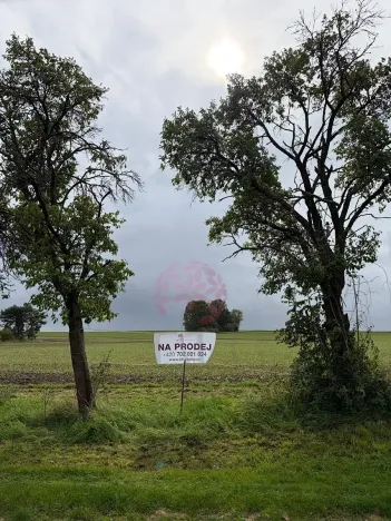 Prodej pozemku pro bydlení, Stračov, 8252 m2