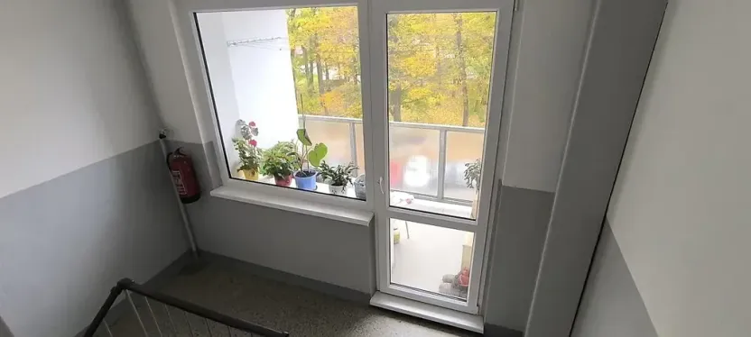 Prodej bytu 1+1, Aš, Dlouhá, 37 m2