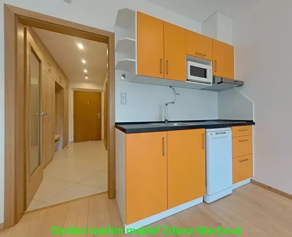 Pronájem bytu 1+kk, Praha - Žižkov, Olšanská, 33 m2
